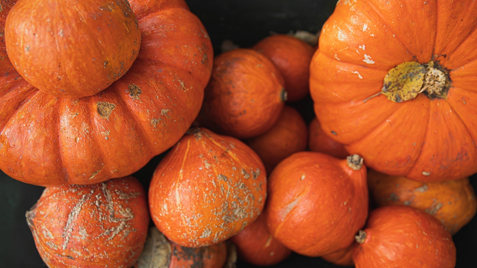 Fresh orange pumpkins stacked in a market or harvest display